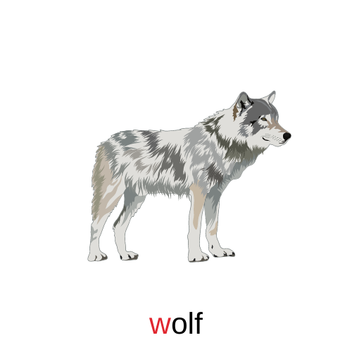 wolf