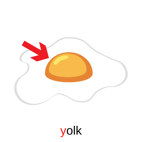 yolk