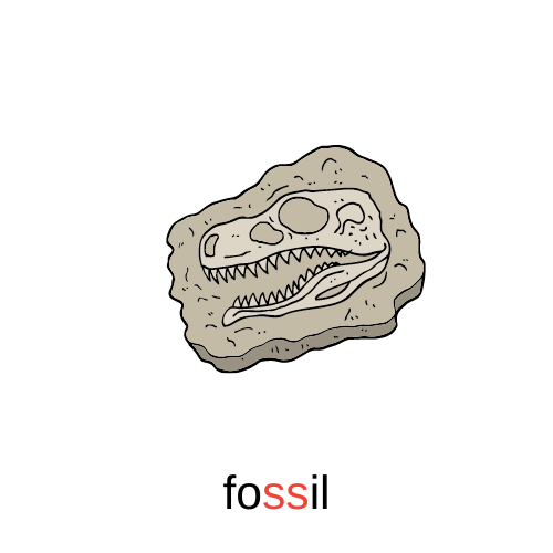 fossil