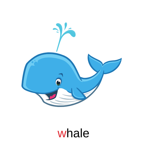 whale