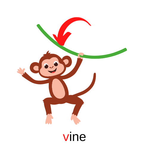 vine