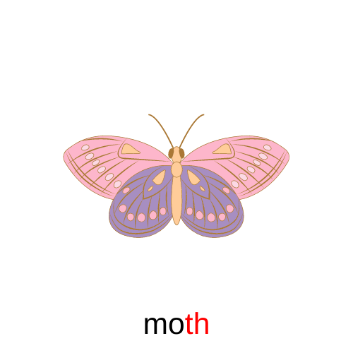 moth